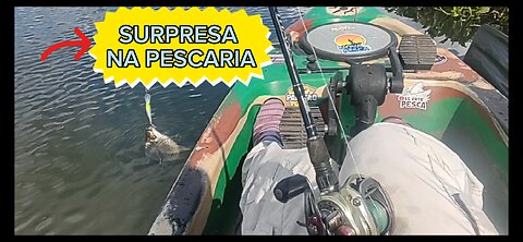 É MUITO PEIXE NESSA REPRESA E NO FINAL UMA SURPRESA...PESCARIA NA PRAIA DOS NAMORADOS