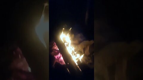 Daily Noonerino full moon under a Fire with a doggo update