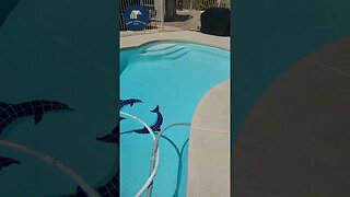 How to heat swimming pool water on your roof!