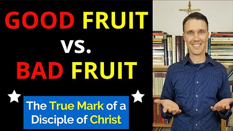 Bear Good Fruit! (Good Fruit vs. Bad Fruit in the Bible)