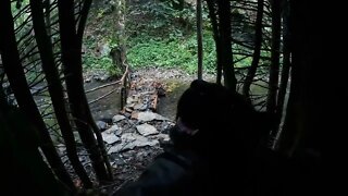 Camping in the rain with my dog *7