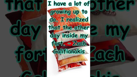 Funny Quote - Zach Galifianakis #shorts