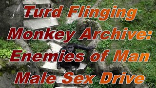 5. Turd Flinging Monkey Enemies of Man Male Sex Drive (Mirror)