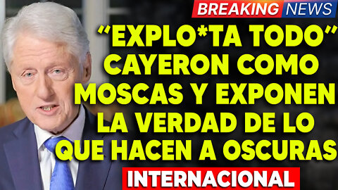 ⛔️SE DESTAPO T0DO: COMIENZA a CAER como M0SCAS Y EXPONEN la VERDAD DE TODO LO QUE HACEN!!