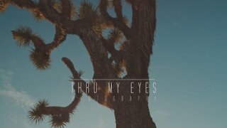 Thru My Eyes | 2020 Videography Reel