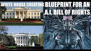 Whitehouse is Creating A.I. Bill of Rights Blueprint, Fascinating!