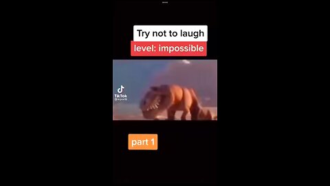 Funny TikTok Video