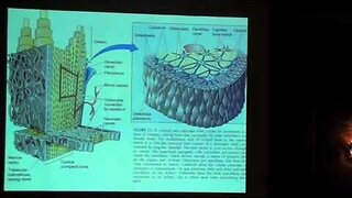 Drs. Phil Mollica and Robert Harris Discuss Oxygen/Ozone Therapy in Dentistry IAOMT Chicago 2008