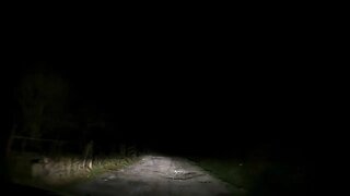 Night driving in Dartmoor 12th Dec 2022. Part 1