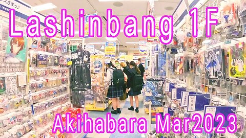 Lashinbang Akihabara 1st floor AKIBA CULTURES ZONE Mar2023【GoPro】らしんばん秋葉原店 1階AKIBAカルチャーズZONE 2023年3月