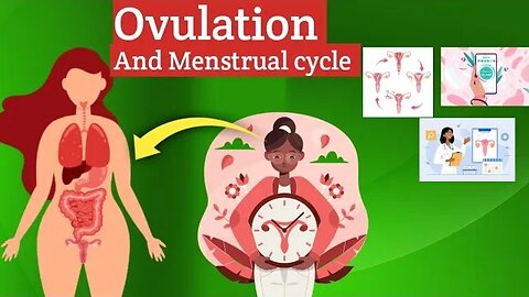 Ovulation And Menstrual cycle Sometimes Called Period | Medical Animation Behealthy.