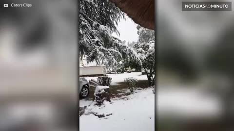 Neve cai em pleno verão na África do Sul