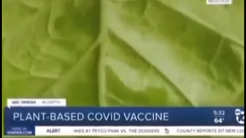 PLANT BASED COVID VACCINES