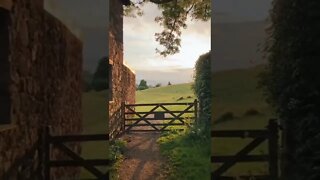 Beautiful nature outside the gate