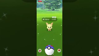 Shiny Compilation