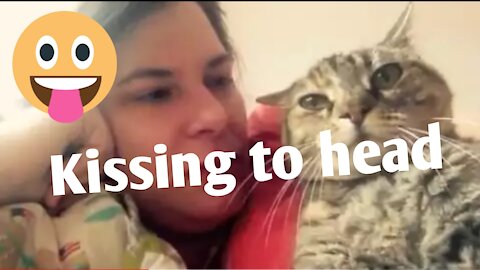 Talking cat says no | to kissing on the head
