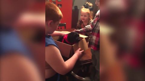 Young Boy Gets A Puppy For His Birthday But It Pukes On Him
