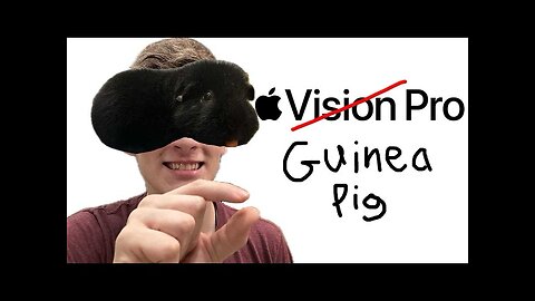 Guinea pig Vision Pro