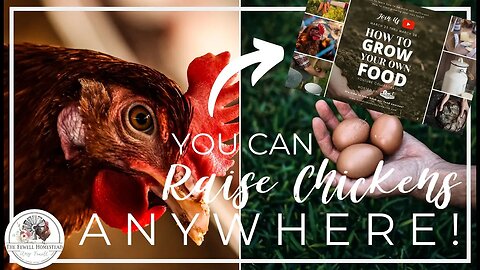 You Can Raise Chickens ANYWHERE! | How to GROW Your OWN Food Series