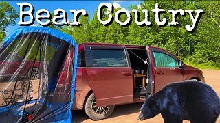 Car Camping DEEP in the Woods with the Bears