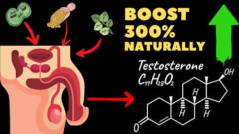 Testosterone Booster Foods 2022. Increase your Testosterone levels by 300% naturally