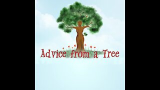 Advice from a tree [GMG Originals]
