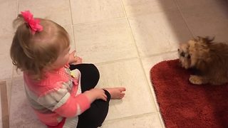 Little Girl Barks At A Dog And He Barks Back
