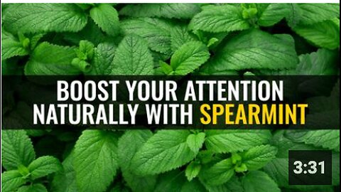 Boost your attention naturally with spearmint