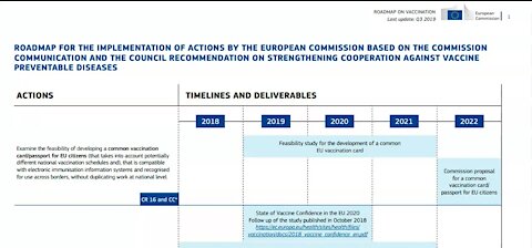 Eurpean Commission Planned Vaccine Passorts in 2018