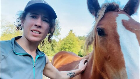 Horsey First Aid & Befriending My “Wild” Filly: BARN VLOG