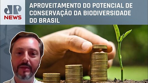 Medida provisória de Bolsonaro quer estimular mercado de créditos de carbono no Brasil