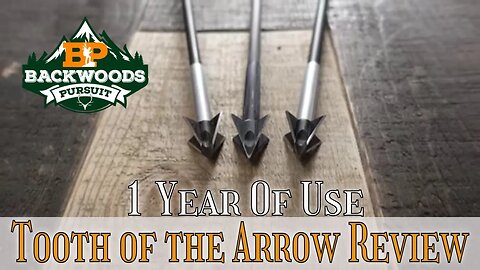 Tooth of the Arrow Broadhead Review | My Experience