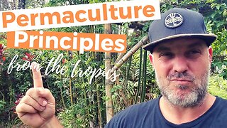 12 Permaculture Principles For An Off Grid Life