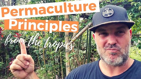 12 Permaculture Principles For An Off Grid Life