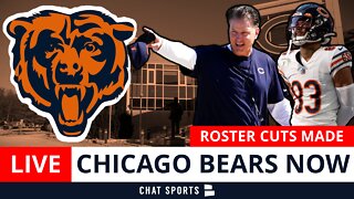 Chicago Bears LIVE: Bears Make 5 Roster Cuts Including Dazz Newsome