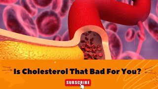 Is Cholesterol That Bad For You? LDL, HDL Cholesterol Explained.