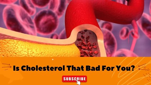 Is Cholesterol That Bad For You? LDL, HDL Cholesterol Explained.