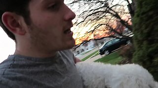 MY DOG ALMOST RAN AWAY!