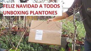 FELIZ NAVIDAD A TODOS!!🎄🎁UNBOXING DE XAPI TIENDA DEL BONSAI