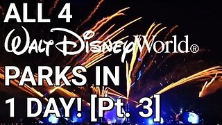 All 4 Disney World Parks In 1 Day [Pt. 3]