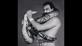 Review of The Jake The Snake Roberts A & E Documentary