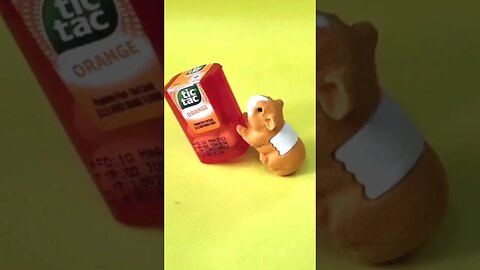 ‼️who fills tic tac‼️😂 #tictac #fun #stopmotion #subscribe #shortvideo