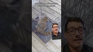 Rabid Beaver attacks Girl in Georgia