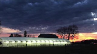 The future of farming is on display at this Hamburg hydroponic lettuce operation