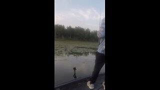 Teckel Frog Bass Fishing