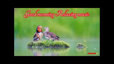 🌿Good morning,relaxing meditation music with nature-HD🌿