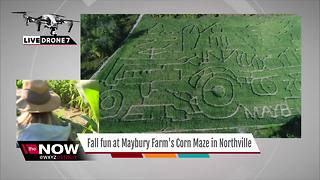 Check out this Northville Corn Maze from above