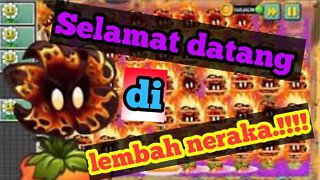 hujan api sang bunga iblis Meteor Flower plants vs zombies 2