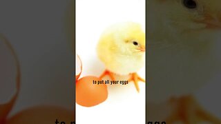 Easter Eggs Or Chicks
