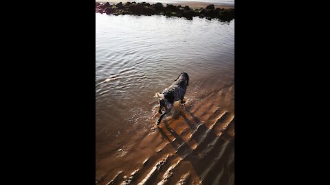 Beautiful St Bees Beach at Sunset